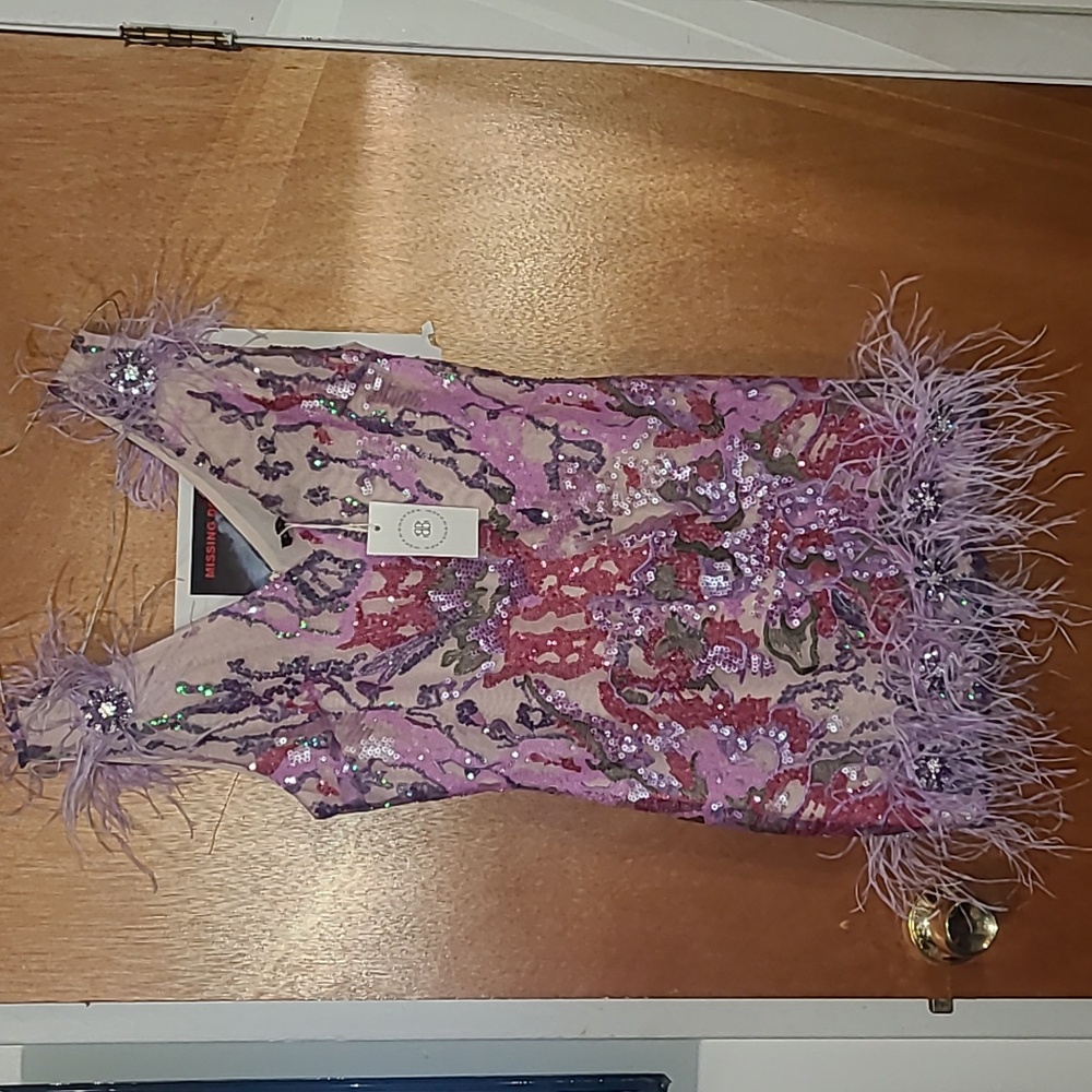 Bella barnett sequins dress.